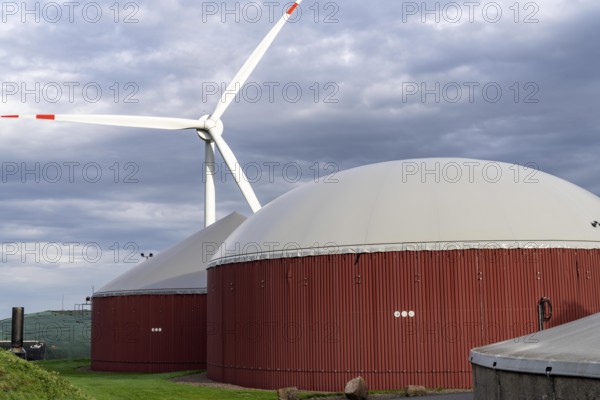 Biogas plant produces gas from various biomass, electricity is generated in combined heat and power
