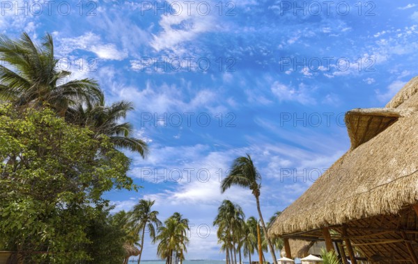 Serene turquoise Isla Mujeres beach Playa Norte famous for emerald waters, sandy sea shore and