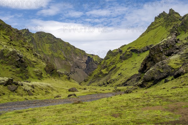 Stream bed in a green moss-covered gorge, enchanted volcanic landscape, Pakgil, Iceland, Europe