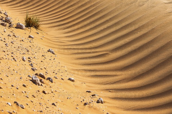 Wind-sculpted sand structure in the Rub al Khali desert, Dhofar province, Arabian Peninsula,