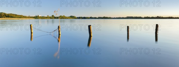 Evening mood at the Schaalsee, wooden post in the water, Zarrentin am Schaalsee, Schaalsee