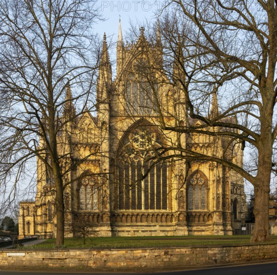 East frontage Lincoln cathedral church winter morning light viewed through tree branches, city of