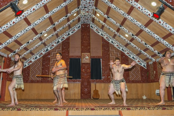 Maori welcome dance performance, Te Puia, Rotorua, Bay of Plenty, North Island, New Zealand,