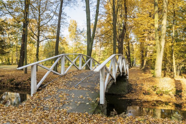 Bridge over the castle moat in autumn, park of Hermsdorf Castle, Ottendorf-Ockrilla, Saxony,
