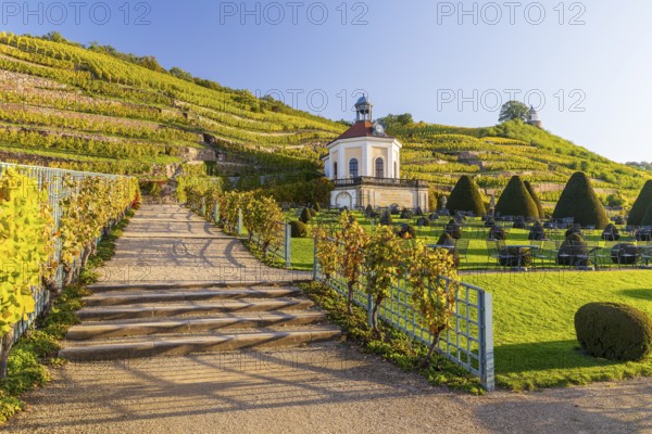 Belvedere in the vineyard with Jacobstein vineyard pavilion, Wackerbarth Castle Park, Radebeul,