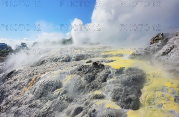 Prince of Wales and Pohutu geysers erupting, Te Puia Thermal Valley, Rotorua, Bay of Plenty, North