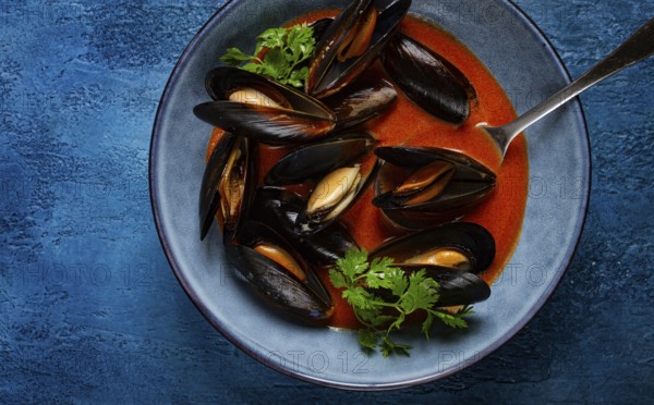 Fra Diavolo mussels, mussels in tomato sauce, Italian dish, on a blue background, homemade, no