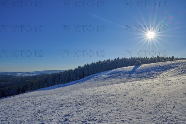 Gently rolling snow-covered hills lined by a winter forest under a radiant sun, Winter,