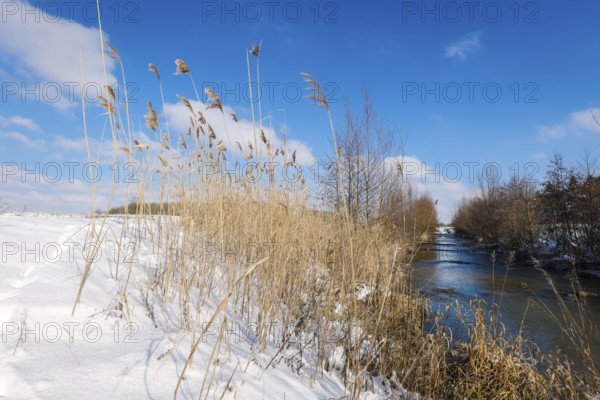 Hamm, North Rhine-Westphalia, Germany - Sunny winter landscape in the Ruhr area, ice and snow on