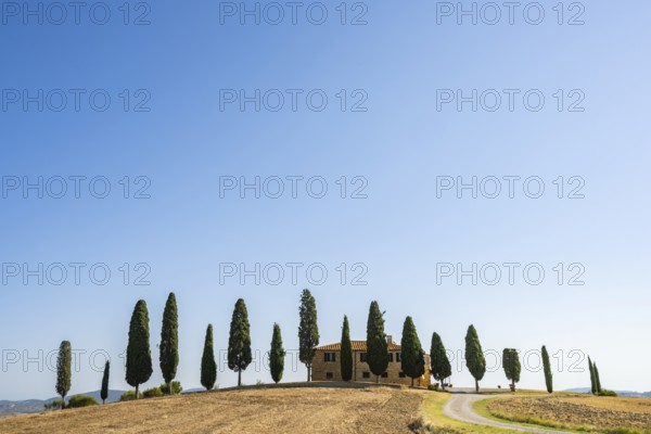 Tuscany landscape with cypresses and farmstead at sunrise, dawn, 'Podere Cipressini', San Quirico