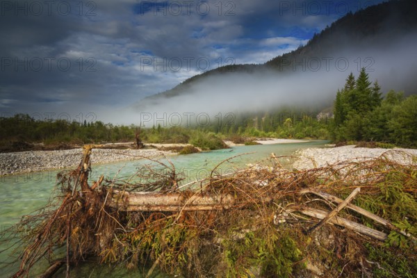 Isar valley nature conservancy area. The wild Isar river flows through its gravel bed past