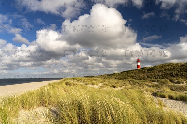 Dunes at the coast of Ellenbogen and the lighthouse List-Ost, List, island Sylt, district