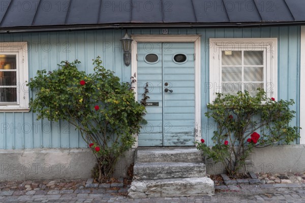 A light blue wooden house with an old door flanked by red roses in a cosy, rustic setting,