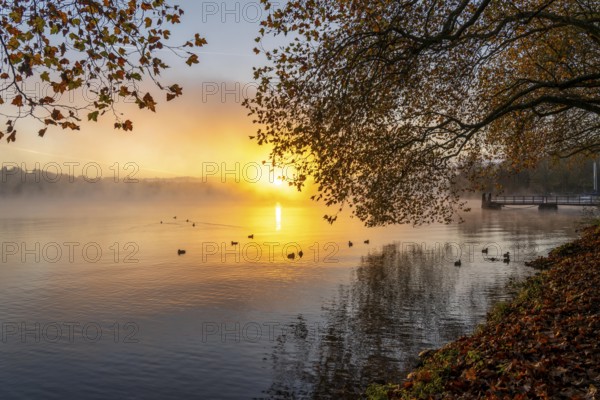 Sunrise, autumnal atmosphere at Lake Baldeney, near Haus Scheppen, in Essen, North