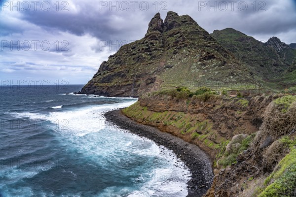 The coast at Punta del Frontón, Punta Del Hidalgo, Tenerife, Canary Islands, Spain, Europe