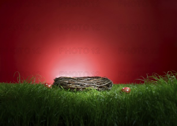 Turf in front of a red background, with an Easter nest and 2 red Easter eggs, studio shot