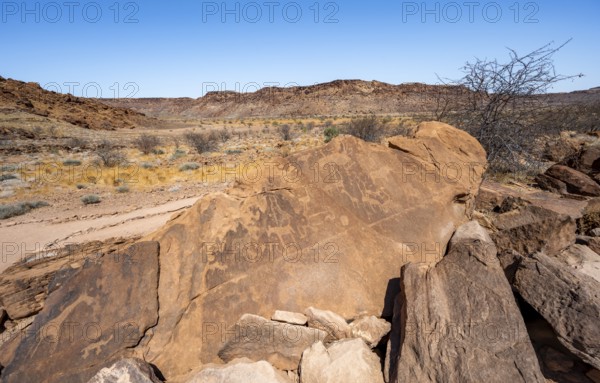 Depictions of animals on a rock slab, petroglyphs, rock engravings, Twyfelfontein, Kunene, Namibia,