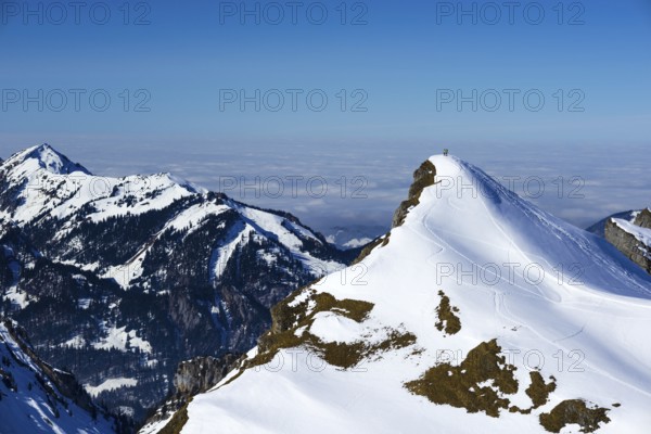 Snowshoe hiker, Allgäu Alps, Allgäu, Bavaria, Germany, Europe