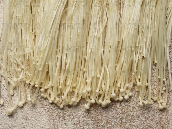 Enoki mushrooms, raw, top view, close-up