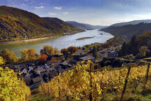 View of Bacharach on the Rhine in autumn with the Fürstental Silvaner wine-growing region, Upper