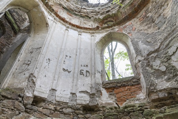 Interior view of the Schanzenturm, artificial tower ruin of the manor in the forest of the Lausker