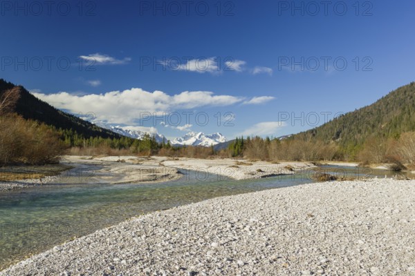 Isar valley nature conservancy area on an early sunny morning. The wild Isar river flows through
