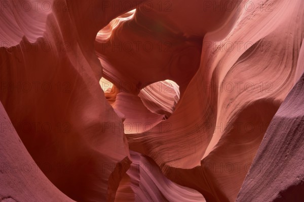 Fascinating sandstone formations in Antelpoe Canyon, showing soft, wave-like structures, Antelope