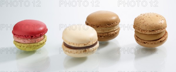 Four differently coloured macarons in front of a white background, studio shot