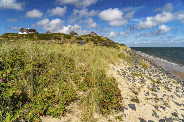 Beach on the east coast near List, island of Sylt, North Frisia district, Schleswig-Holstein,
