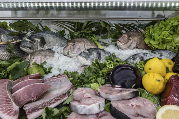 Fish in a fish shop, Sicily, Italy, Europe