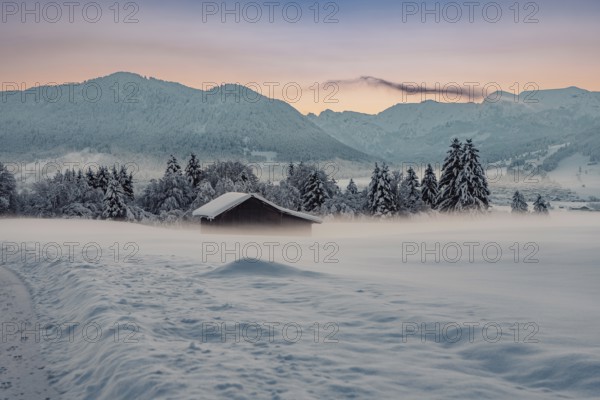 Deep snowy winter morning mood near Halblech in the foothills of the Alps in the Allgäu with the