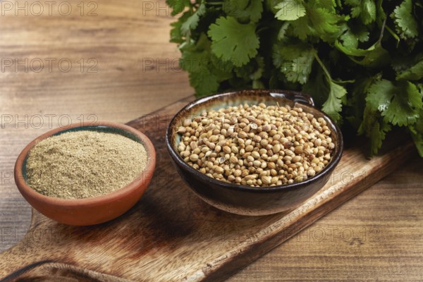 A bunch of fresh cilantro, coriander seeds and powder bowls, close-up, top view, no people, food