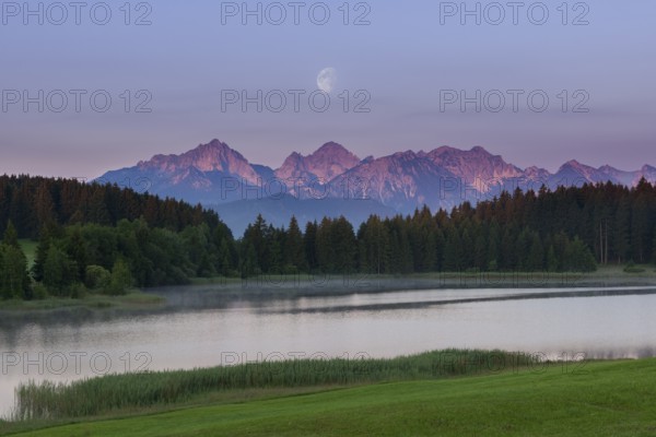 Idyllic lake with mountain landscape at dawn, pink sky and moon, Hegratsrieder See near Füssen,