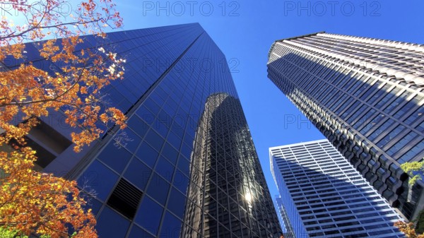 USA, Seattle financial and business district skyline in city downtown, North America