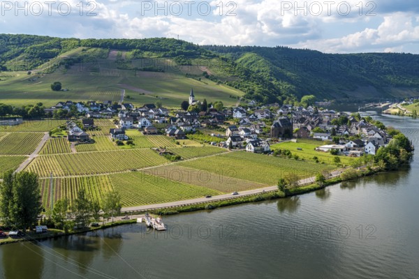 View from Metternich Castle to Ellenz-Poltersdorf and the Moselle, Rhineland-Palatinate, Germany,
