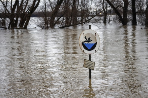 Duisburg, North Rhine-Westphalia, Germany - High water on the Rhine, trees are under water on the