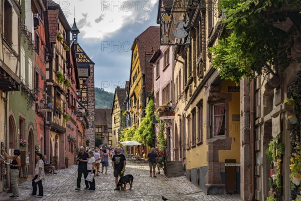 The historic old town centre of Riquewihr, Alsace, France, Europe