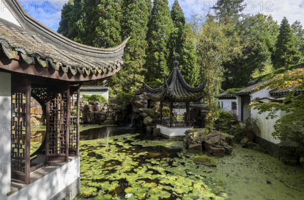 Bochum, North Rhine-Westphalia, Germany - Chinese Garden, Botanical Garden of the Ruhr University