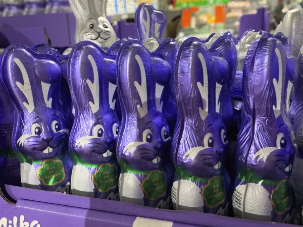 Display on retail shelf of wholesale chocolate Easter bunnies chocolate Easter bunnies wrapped in