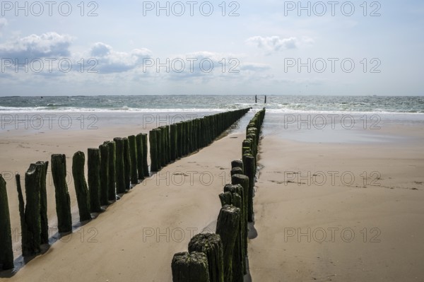 Vlissingen, Zeeland, Netherlands, sandy beach with wooden breakwaters, harbour town on the south
