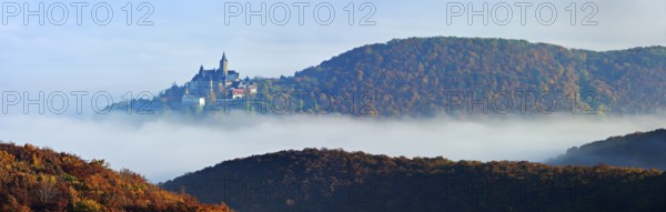 Wernigerode Castle rises out of the morning mist, surrounded by autumnal forests, Wernigerode,