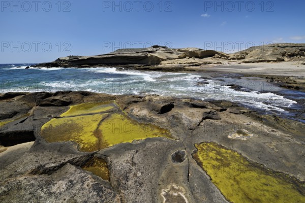 Sandstone coast, San Miguel de Tajao, Tenerife, Canary Islands, Spain, Europe