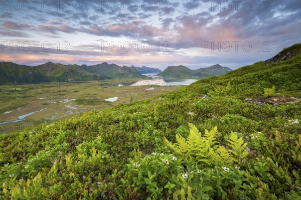 View of the coast and mountains from Mount Hoven, Gimsoy, Lofoten, Norway, Europe