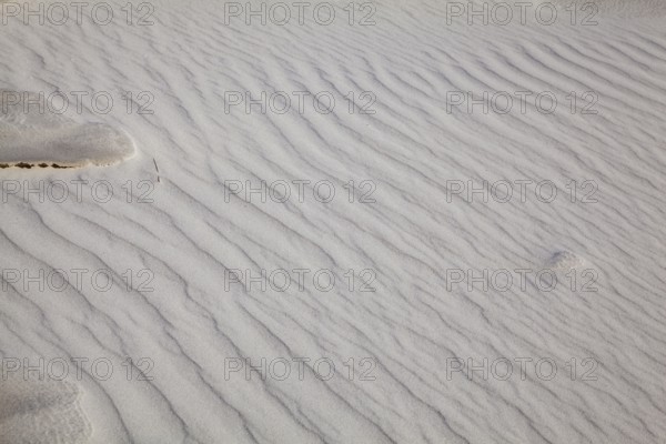 Wave-like structured sand surface with soft texture and natural colouring, North Sea coast,