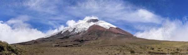 Cotopaxi seen from the high plain, Cotopaxi, Cotopaxi National Park, Latacunga, Ecuador, South