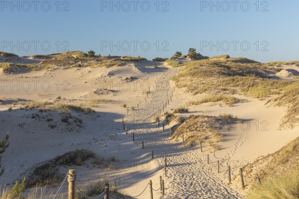Lacka Dune on a sunny day with a blue sky in the Slowinski National Park, northern Poland on the