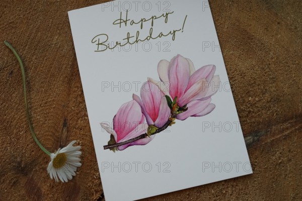 Happy Birthday card with a magnolia branch painted in watercolour, card as product photo for sale