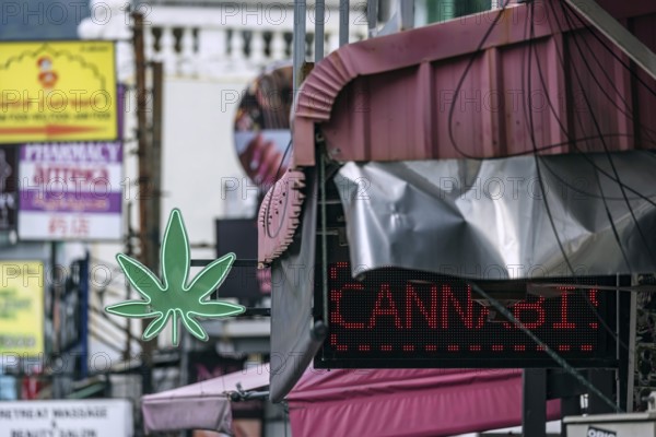 Legalisation of narcotics in Thailand. Cannabis is offered for sale in many places. Bangla Walking