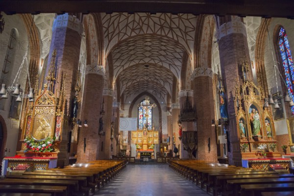 Impressive nave with vaulted ceiling and rows of wooden benches, St Jakobi Church, Olsztyn,