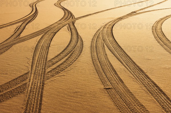 Tyre tracks in the sand in the Rub al Khali desert, Dhofar province, Arabian Peninsula, Sultanate